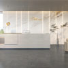 Carrara Gold Sintered Stone Matt