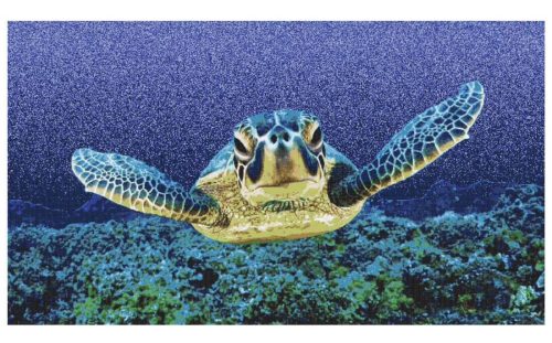 pool mural sea turtle